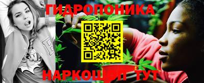 дмт Заволжье