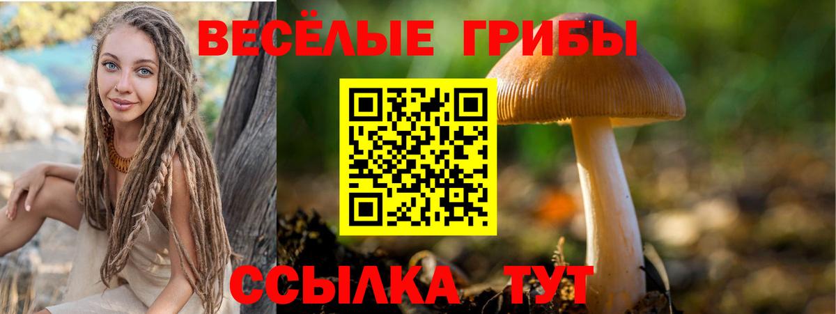 Мелеуз  Галлюциногенные грибы мухоморы  Вход с VPN  Галлюциногенные грибы GOLDEN TEACHER 